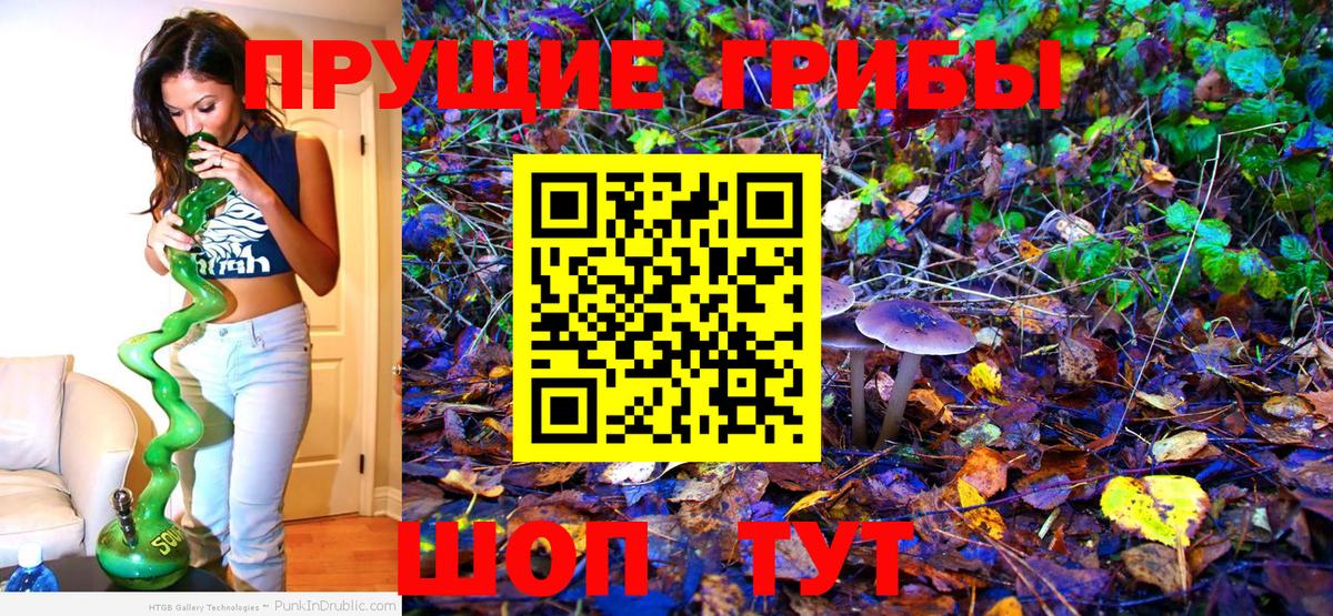 Муравленко  Галлюциногенные грибы Psilocybine cubensis  Вход с VPN  Галлюциногенные грибы Psilocybine cubensis 